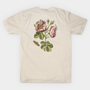 Rose Flower with Insects Vintage Botanical Illustration T-Shirt